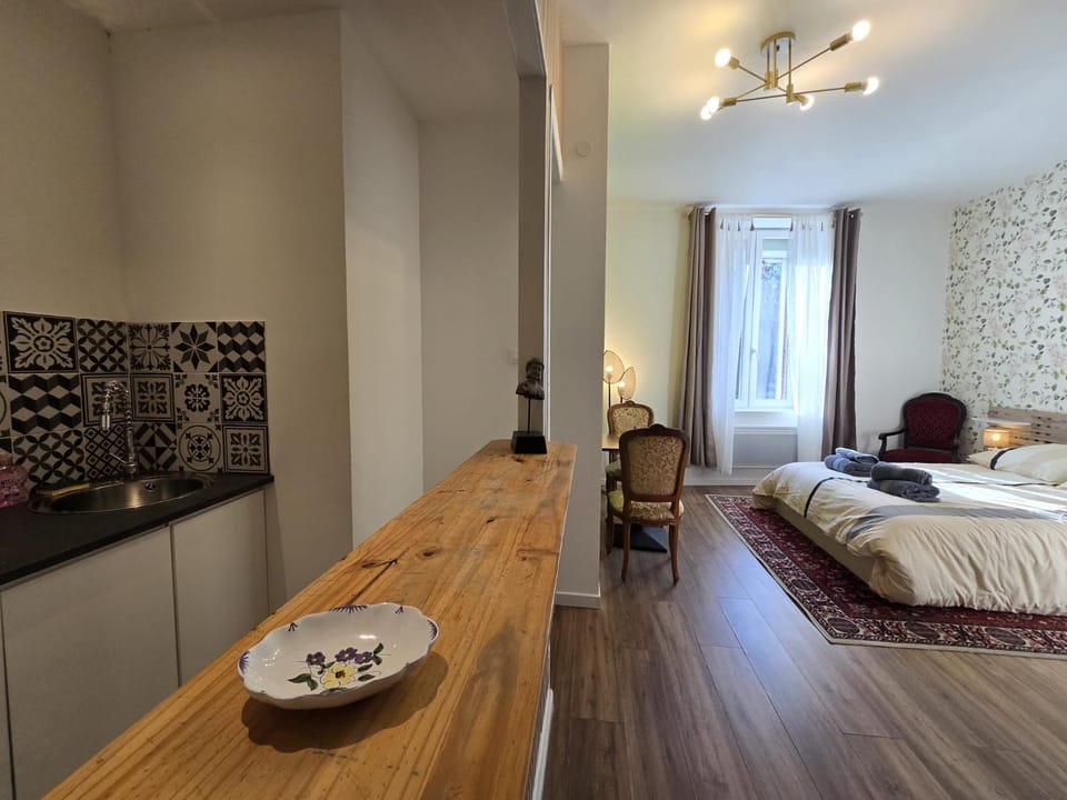 Studio, avec cuisine et salle de bain face au Jardin Massey Apartment in Occitanie