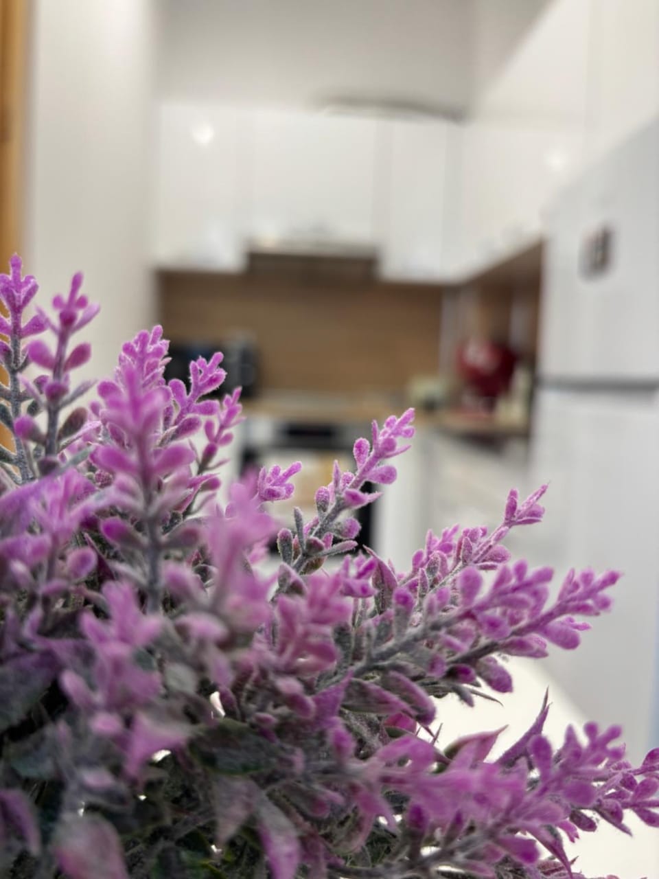 Luxury & Comfort near the University Apartment in Blagoevgrad