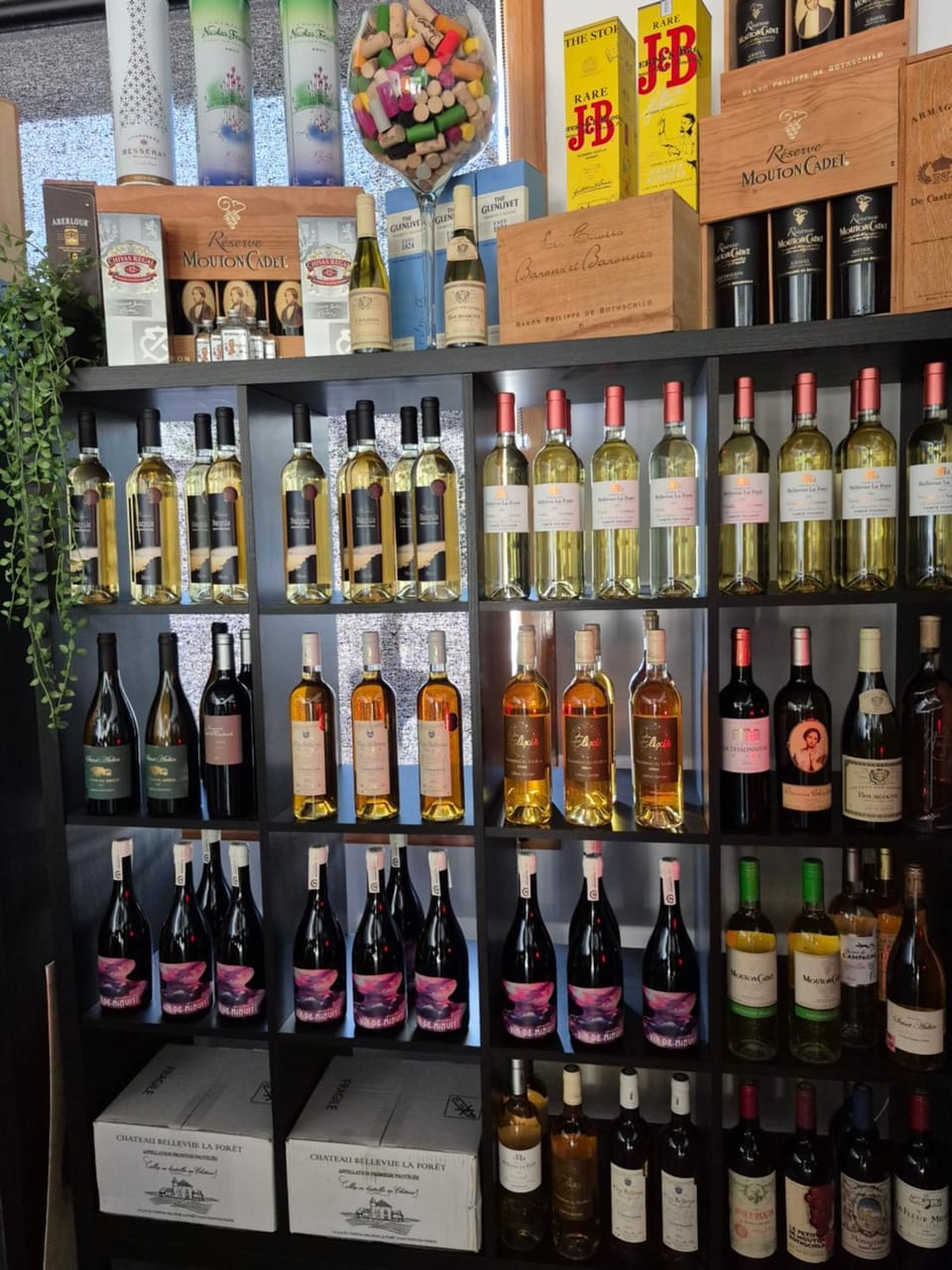 Drinks