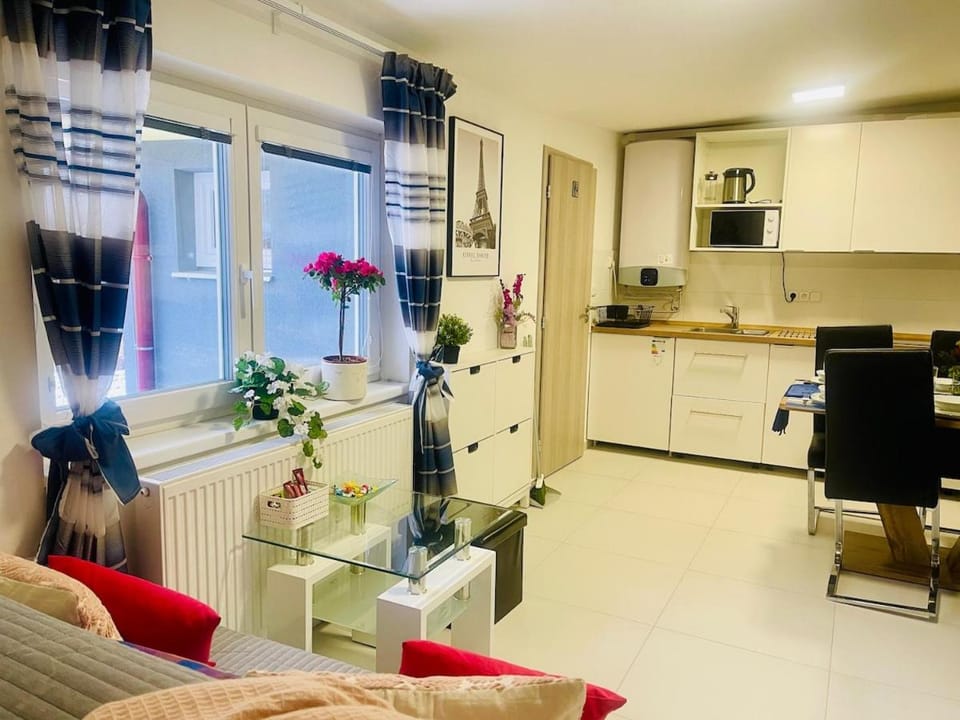 Cozy apartment Apartment in Brno