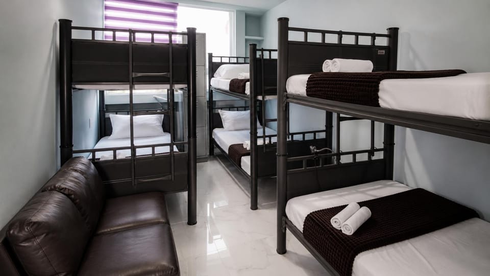 Bed, Photo of the whole room, Bedroom, bunk bed