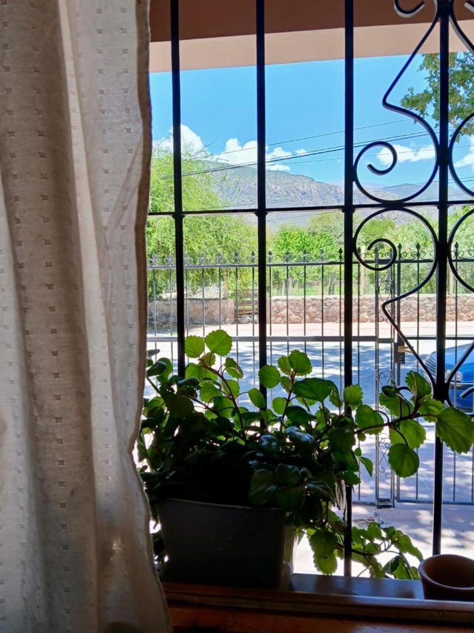 View (from property/room)