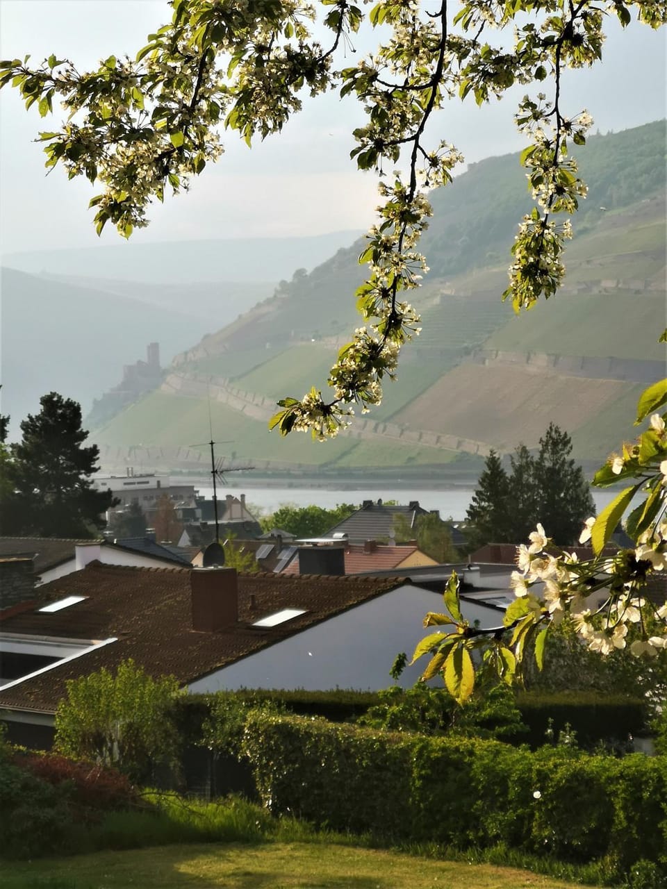 Natural landscape, River view