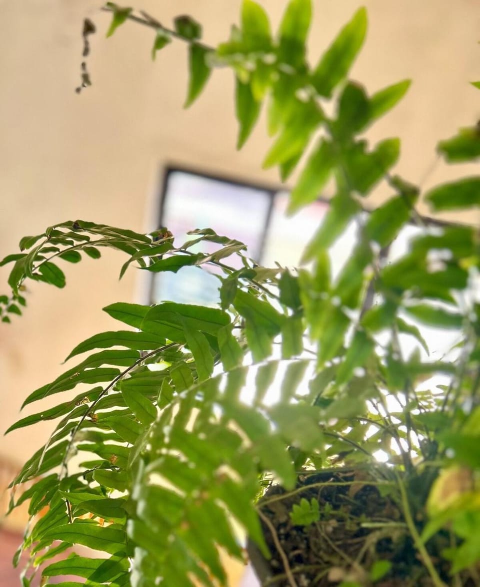 Incredible 360 views 5 min from downtown House in Tepoztlan