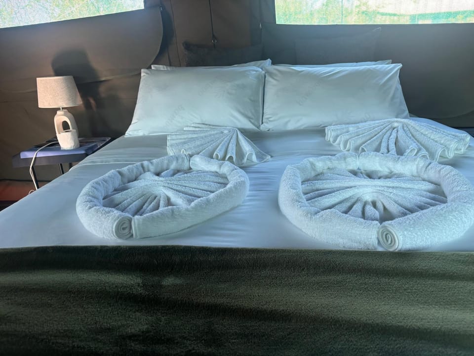 Inn Africa Safari Camp Luxury tent in South Africa