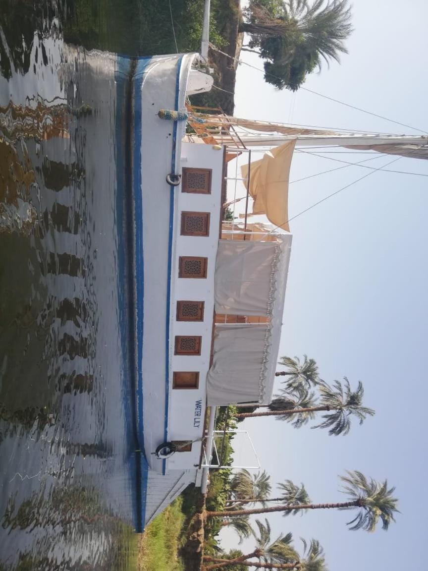 1Water Lily Bed and Breakfast in Luxor