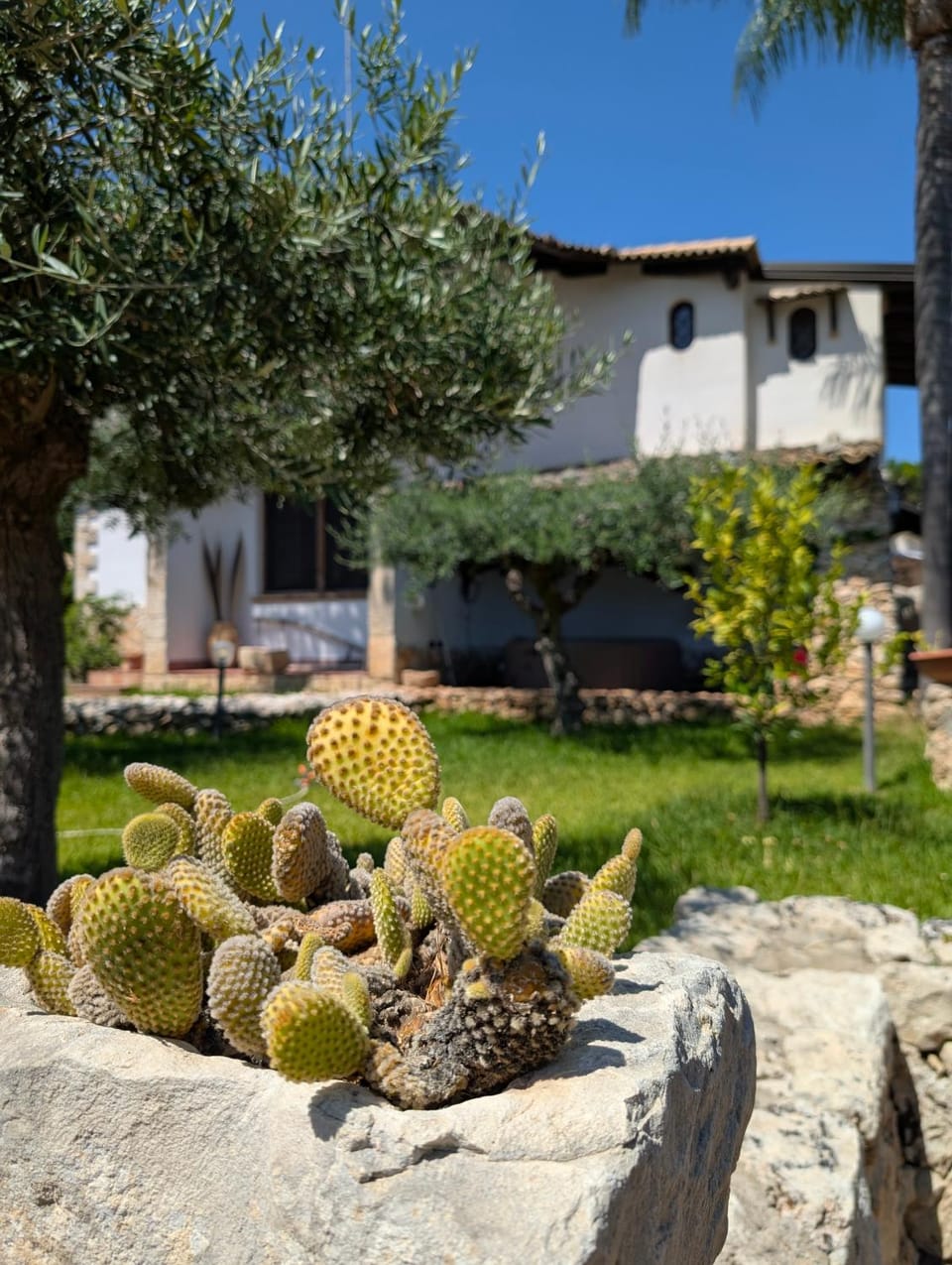 Property building, Garden, Garden view