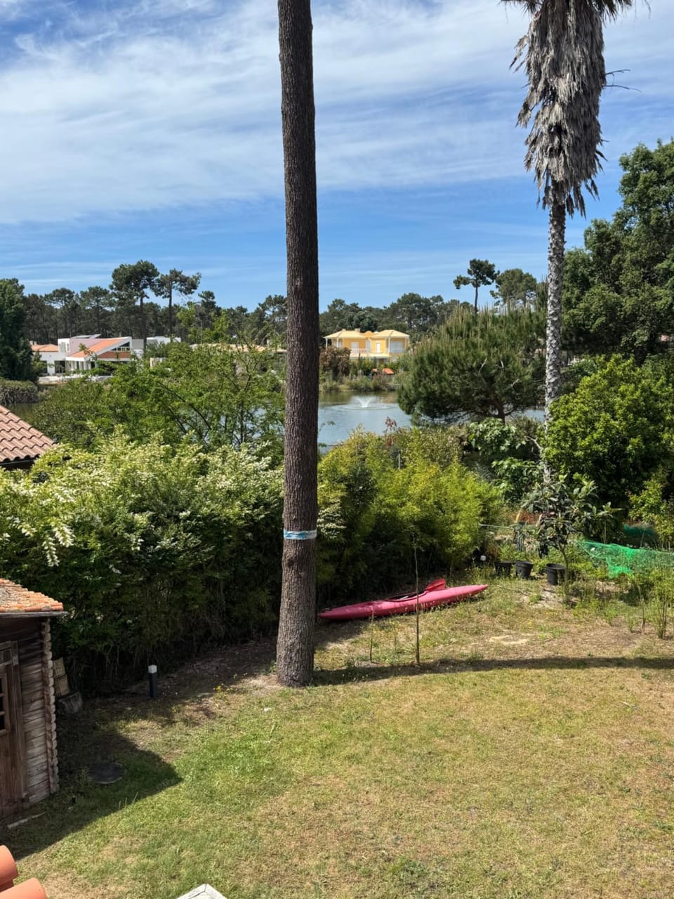 Lake view
