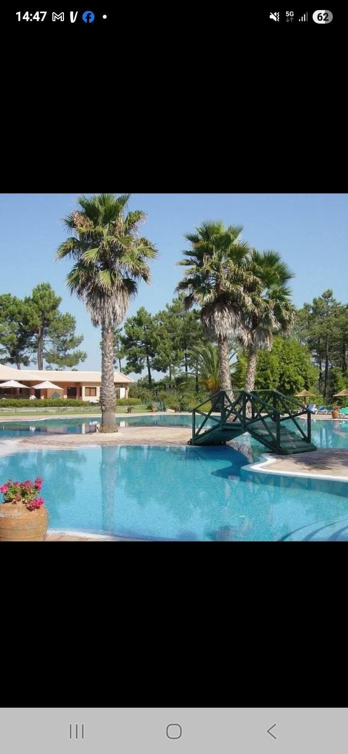 Garden, Swimming pool
