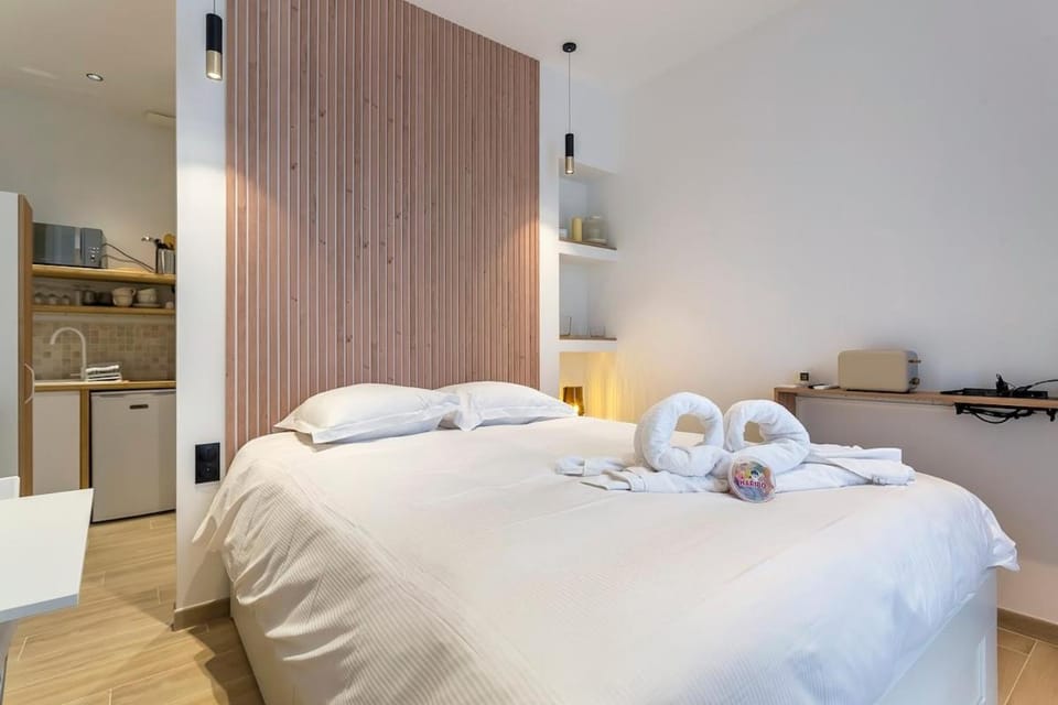 Lovely apartment with Garden and air conditioning Apartment in Lyon