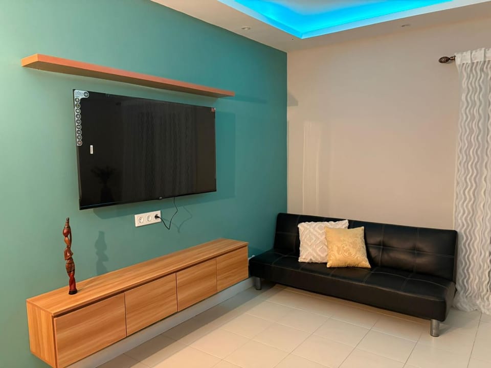 TV and multimedia