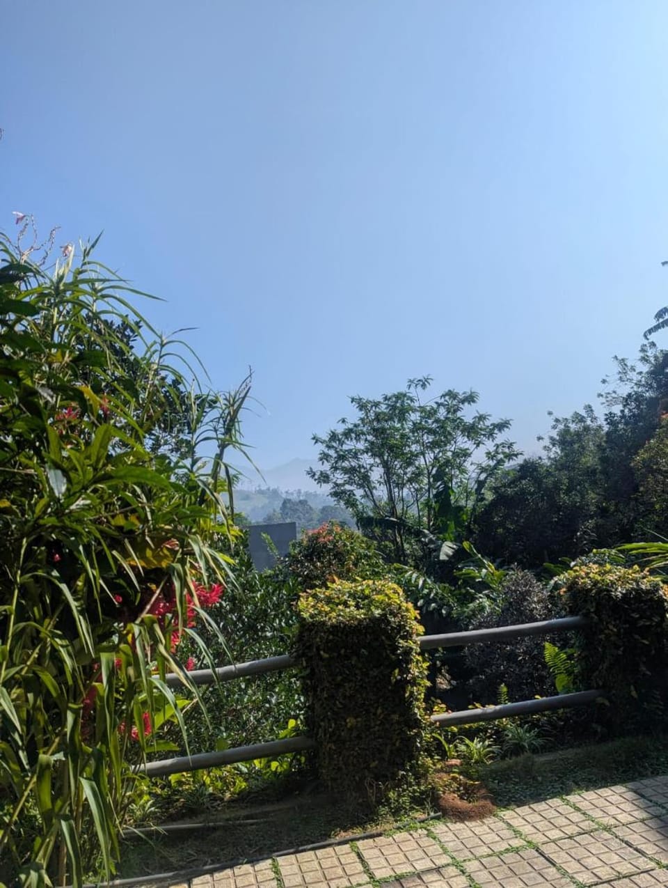 Ella Dreams net Bed and Breakfast in Uva Province, Sri Lanka