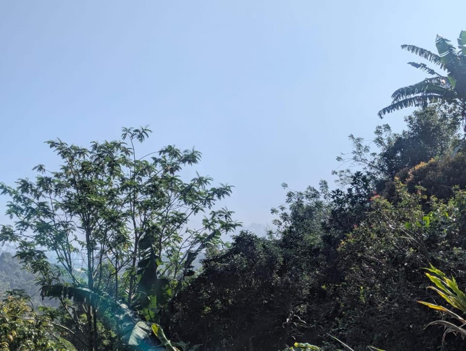 Ella Dreams net Bed and Breakfast in Uva Province, Sri Lanka