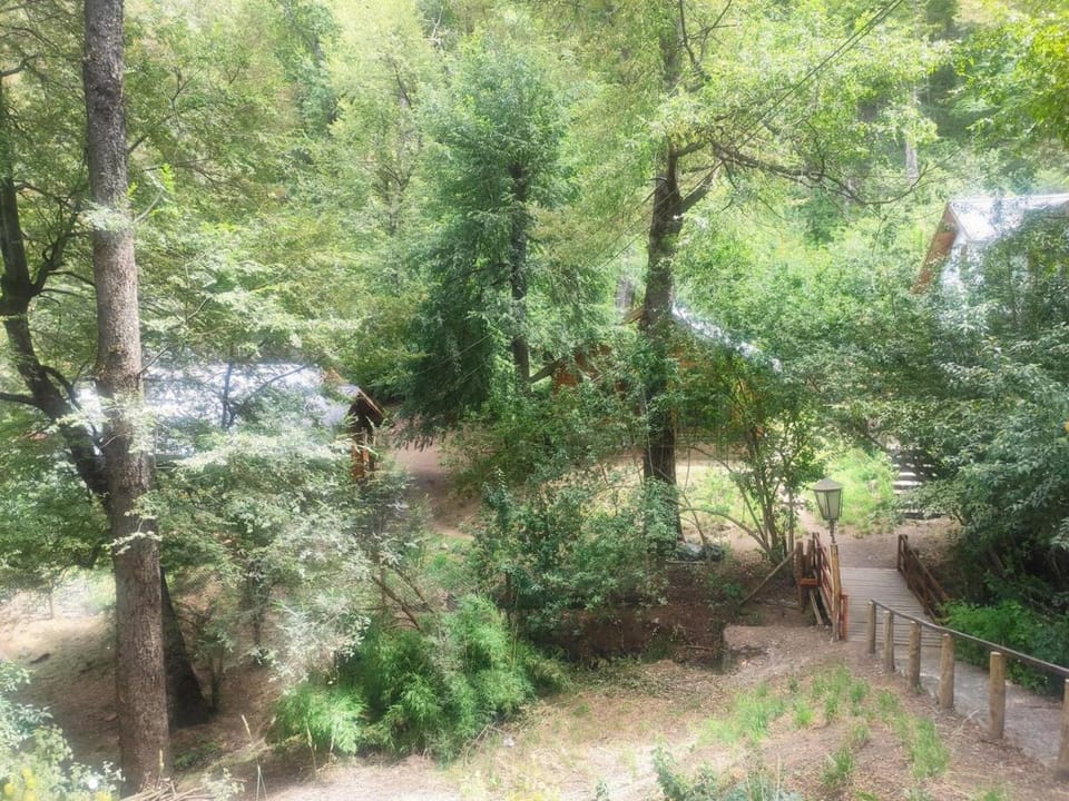 A centrally located cabin surrounded by nature Cabin in San Martín de los Andes