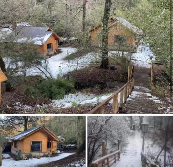 A centrally located cabin surrounded by nature Cabin in San Martín de los Andes