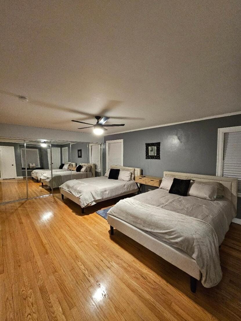 Near O'Hare huge home for all occasions House in Bellwood