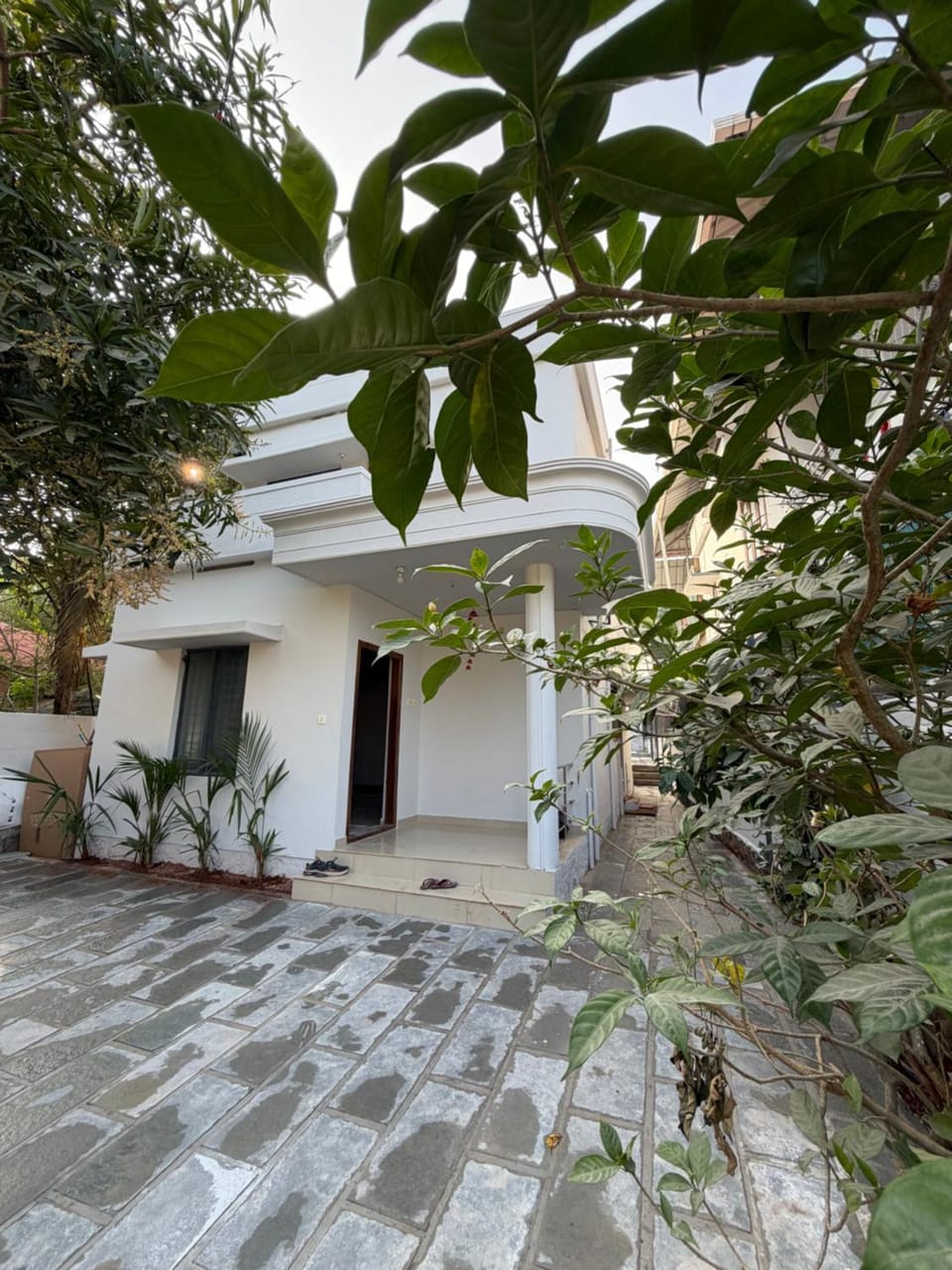 Grha - A Quiet 3 BHK among local Homes, with a Plunge Pool House in Varkala