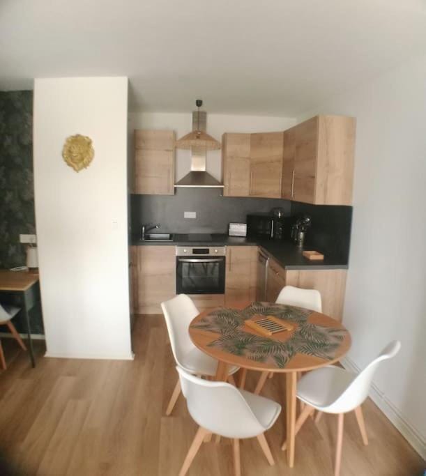 Le Cocon du Lion Apartment in Bourgogne-Franche-Comté