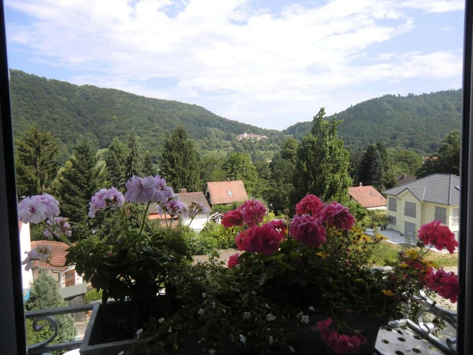 Mountain view