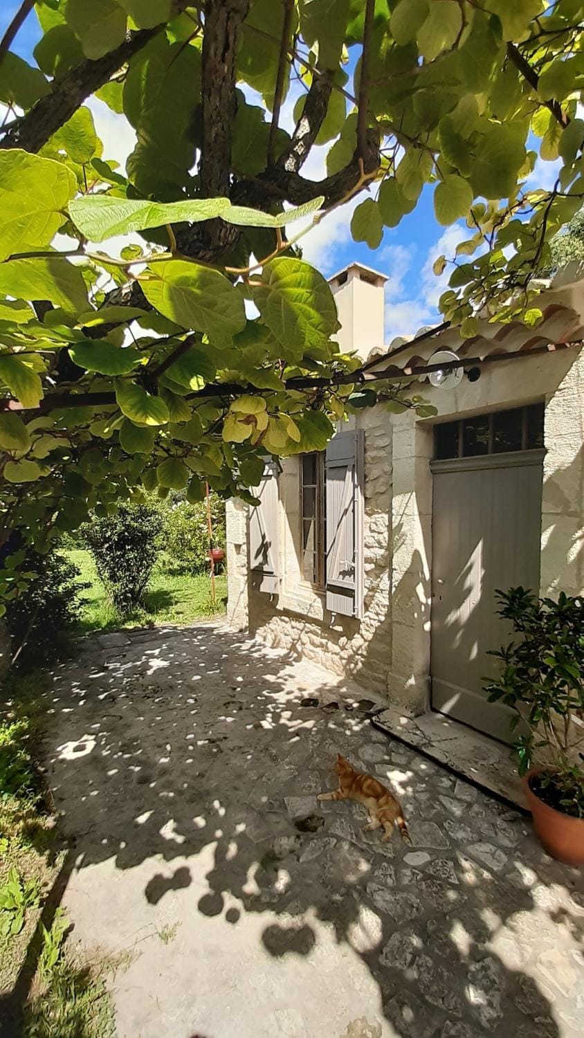 Le Mazet de la pointe dans les Alpilles avec piscine et jardin House in Tarascon