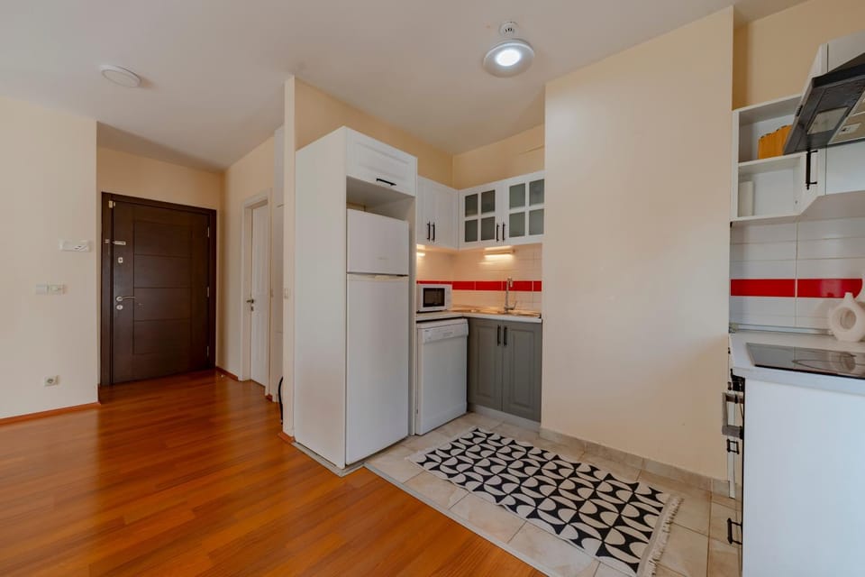 Spacious 1-Bedroom Apartment with Bosphorus View Apartment in Istanbul