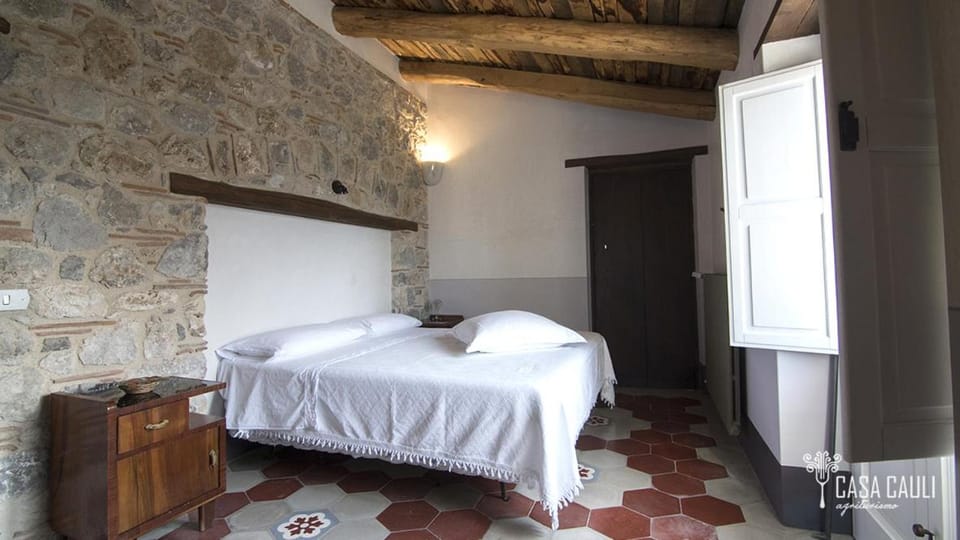 Photo of the whole room, Pets