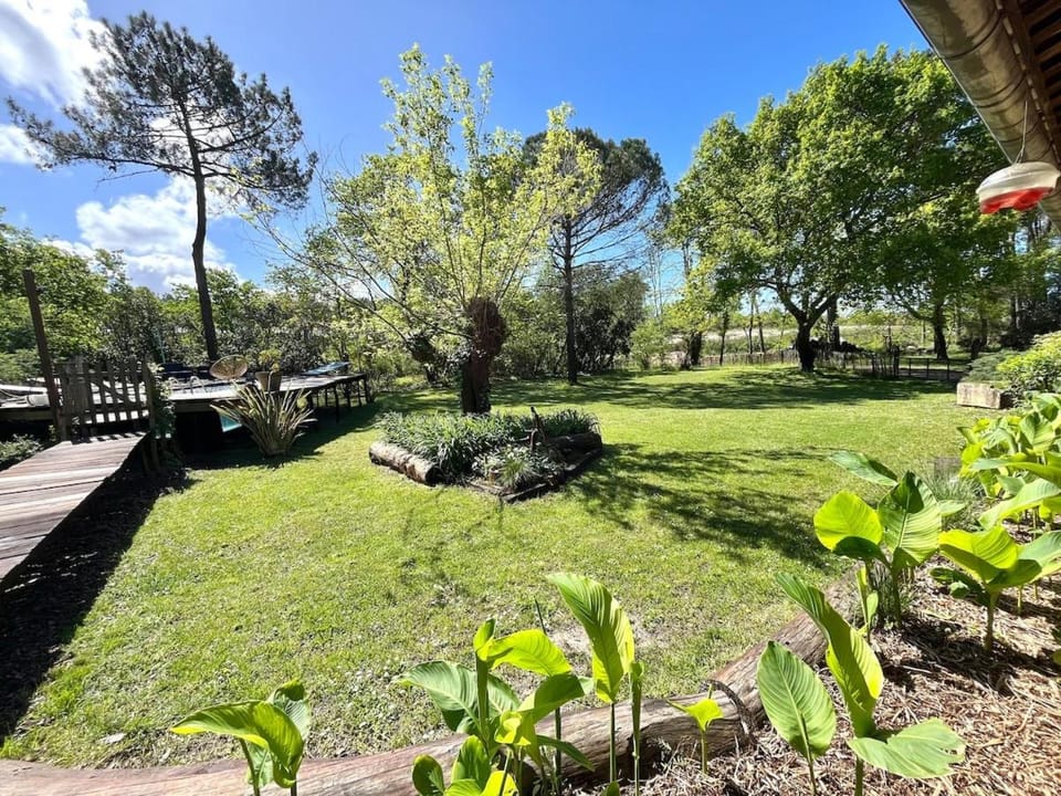 Garden, Swimming pool