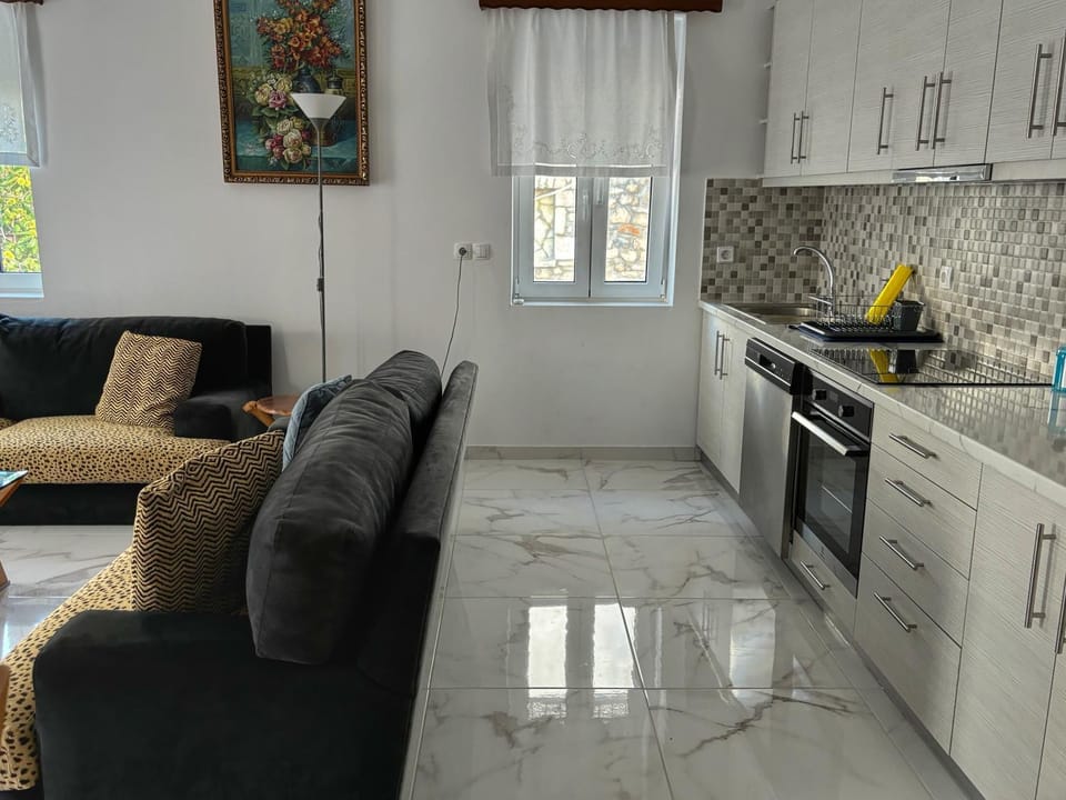 Kitchen or kitchenette, oven, stove