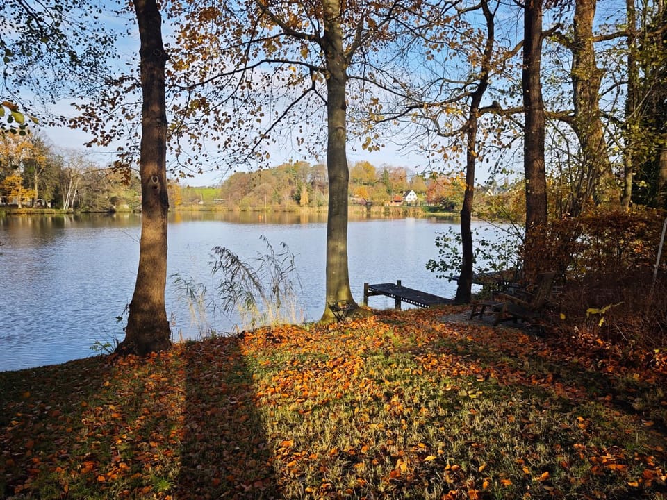 Lake view