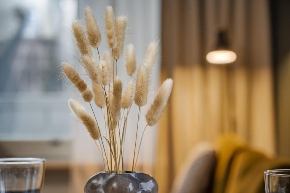 Valo Apartment Hosted by Hygge Host Apartment in Rovaniemi