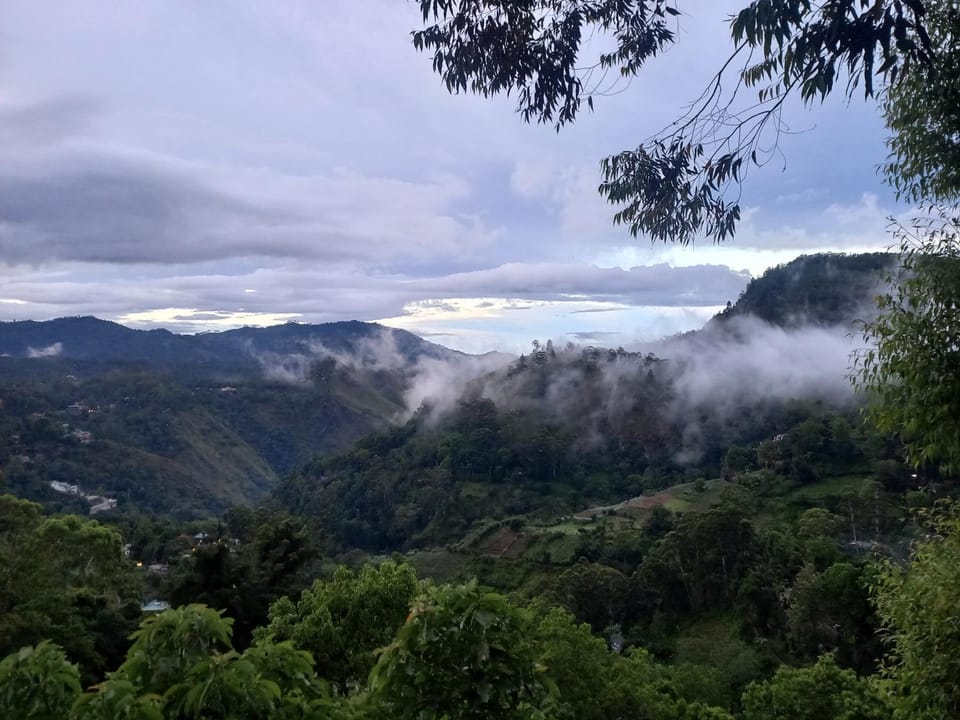 Mountain view