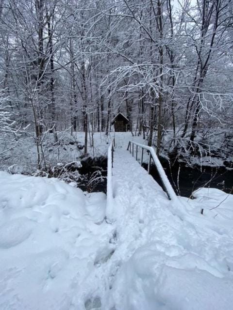 Winter