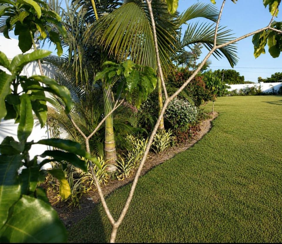 Natural landscape, View (from property/room), Garden view