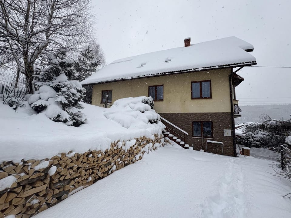 Property building, Day, Winter, Garden