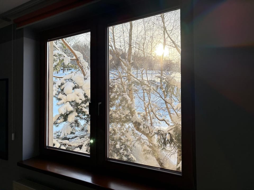 Day, Natural landscape, Winter