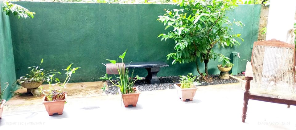Property building, Garden