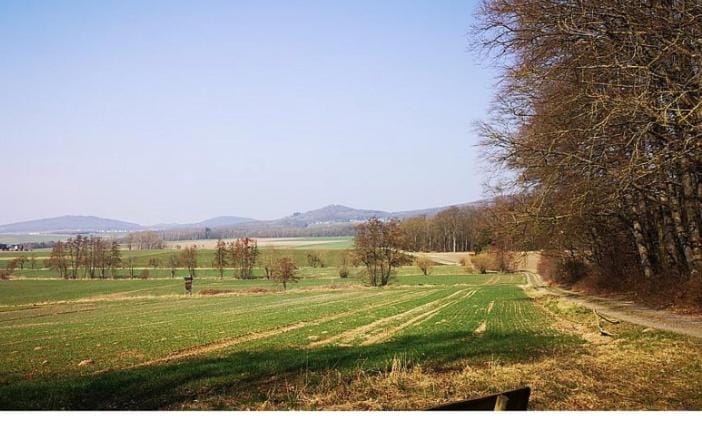 Natural landscape