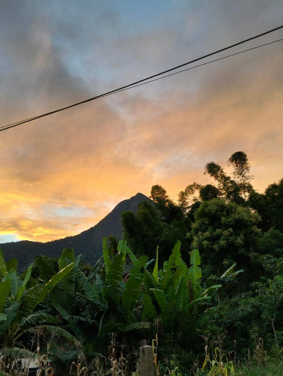 Mountain view