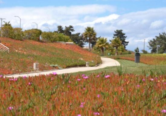 Laguna Bahia Algarrobo Apartment in Valparaíso Region