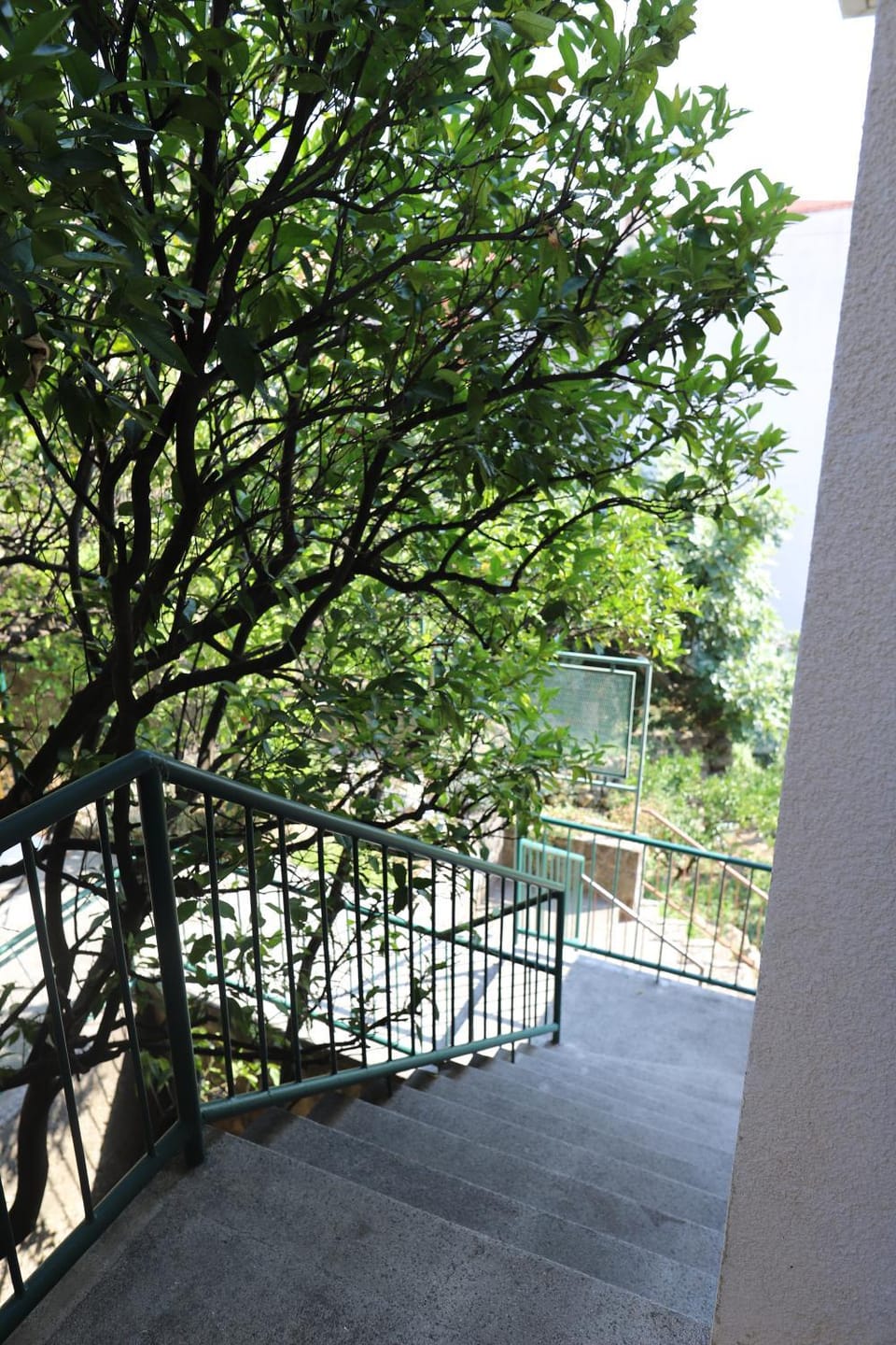 Garden view