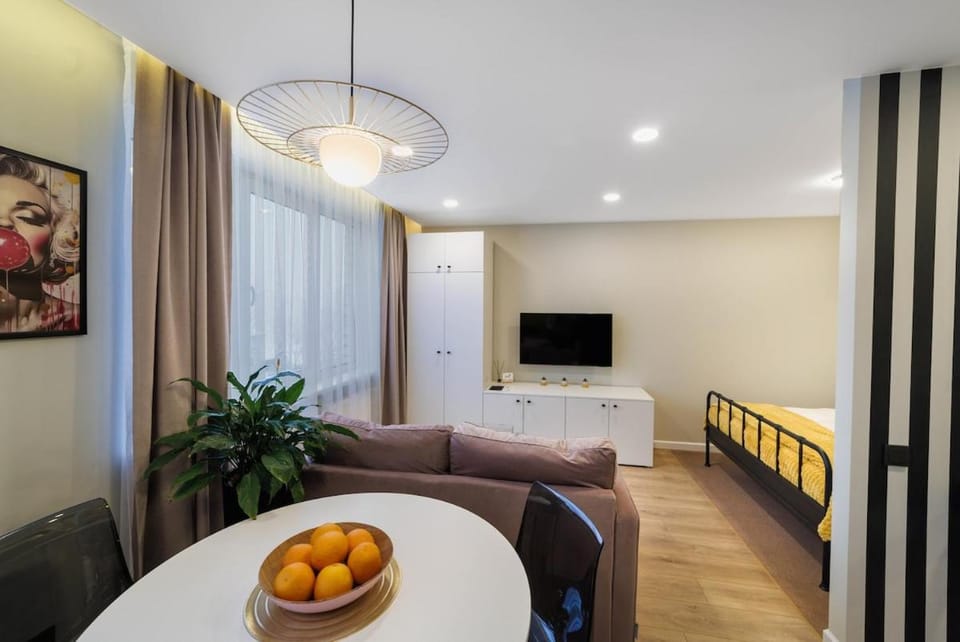 Stilinga studija su visais patogumais Apartment in Lithuania
