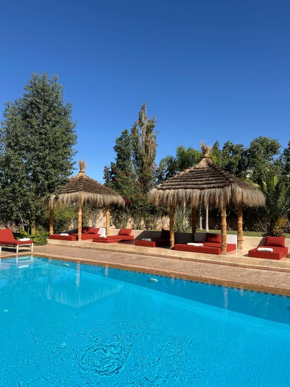 Day, Garden, Pool view, Swimming pool, sunbed