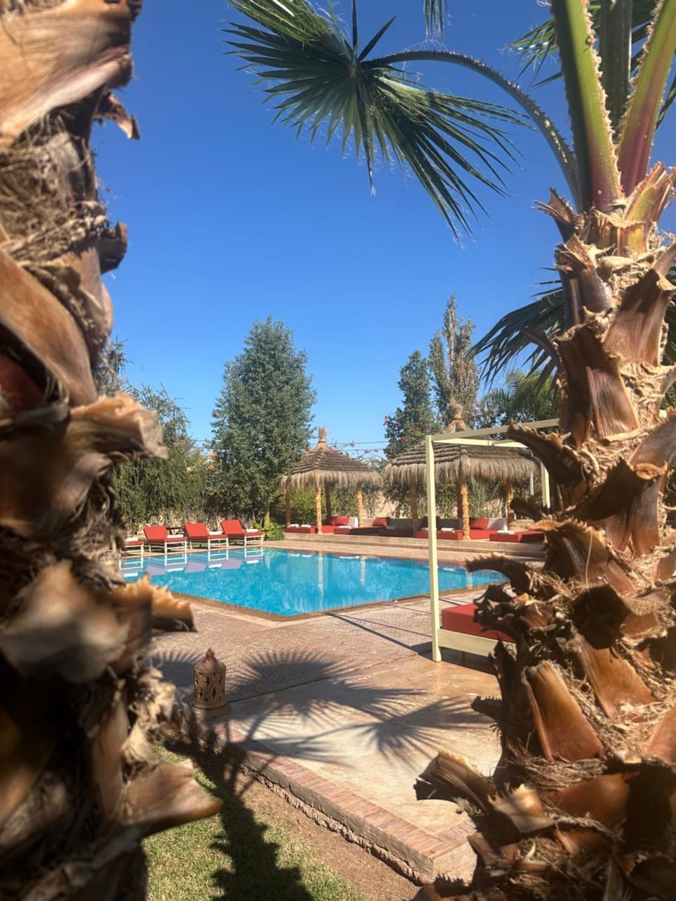 Day, Garden, Garden view, Pool view, Swimming pool, sunbed