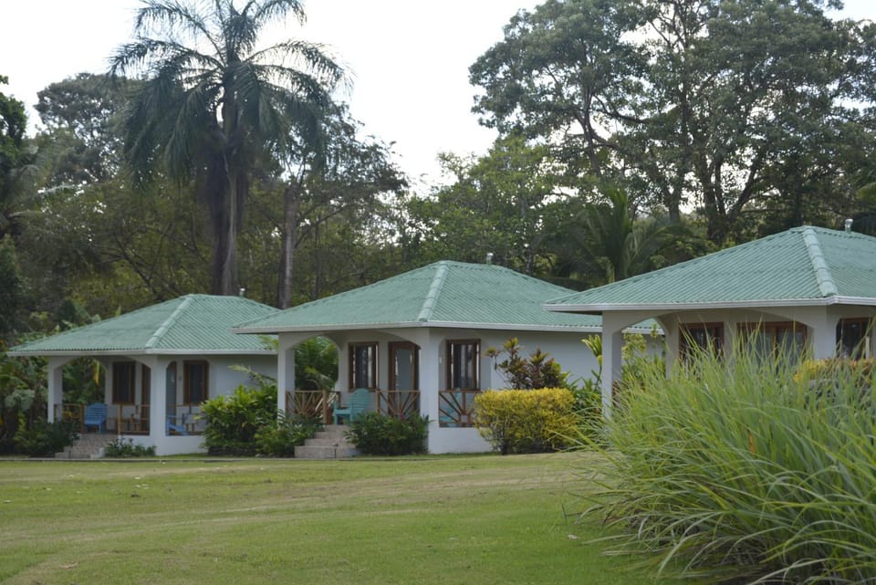 Property building, Garden view