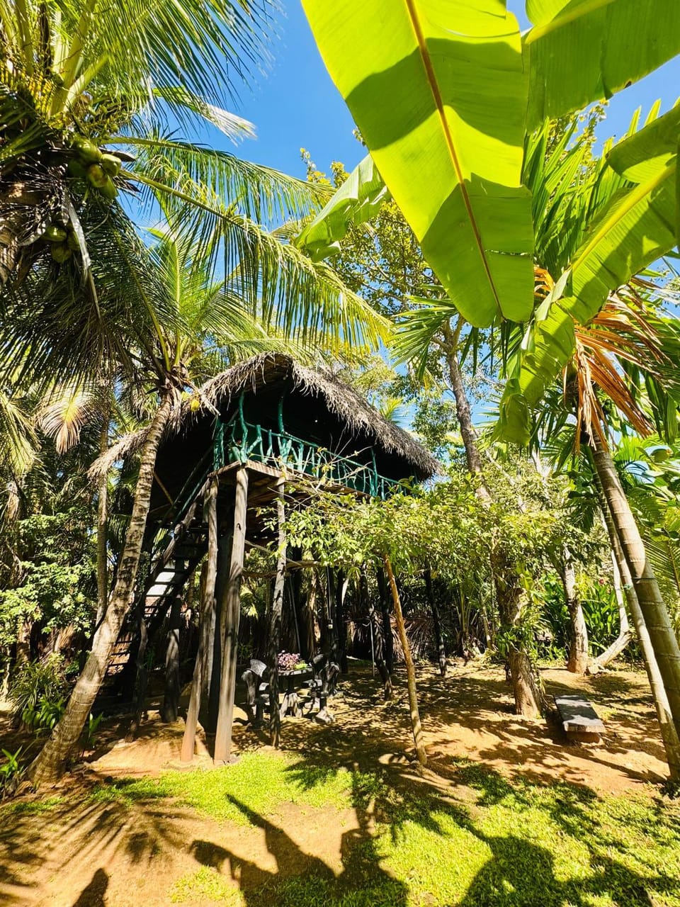 Lakeview Birdsong Cabanas Nature lodge in Southern Province