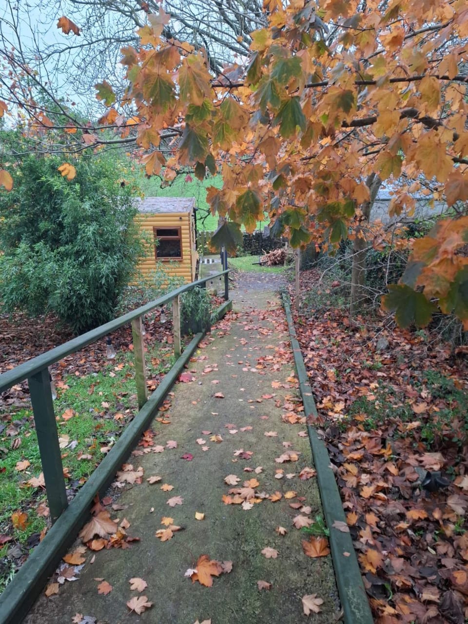 The Swallow's Return LogCabin, Carlingford, A91D954 Cabin in Louth, Co. Louth, Ireland