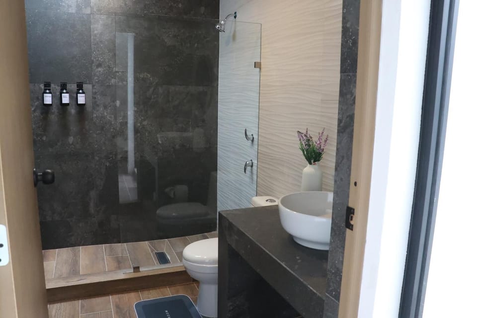 Confort y ubicación en un solo lugar Apartment in Aguascalientes