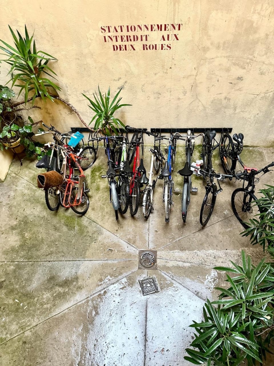 Charming apartment Port of Nice flat 1 Apartment in Nice