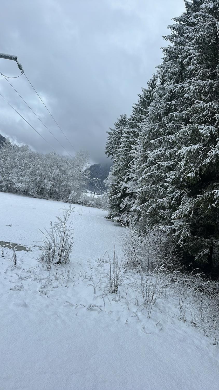 Winter, Mountain view