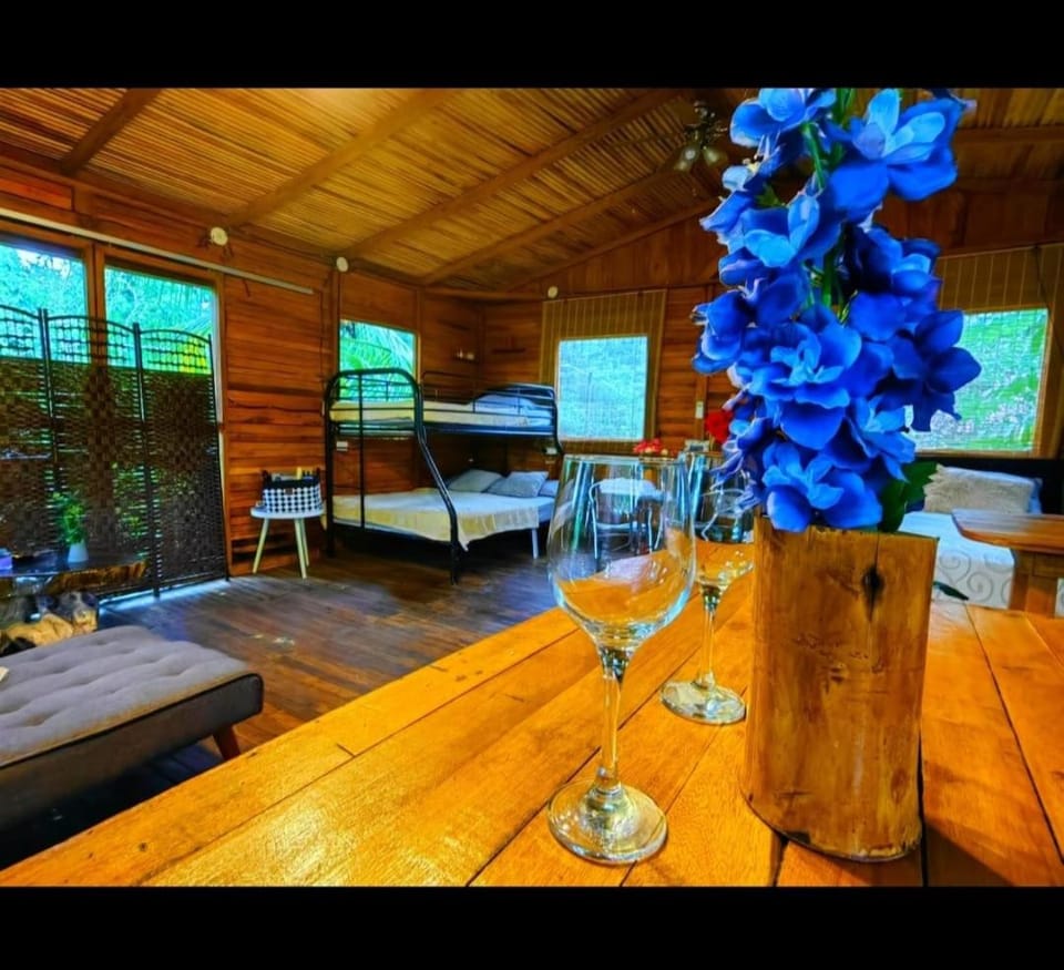 Tree House River Apartment in Alajuela Province